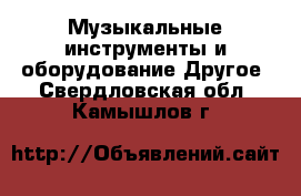 Музыкальные инструменты и оборудование Другое. Свердловская обл.,Камышлов г.